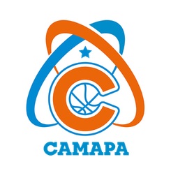 萨拉托夫汽车队徽