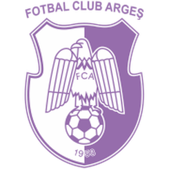 达姆布雷维塔队徽