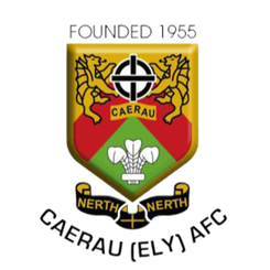 卡姆比利安队徽