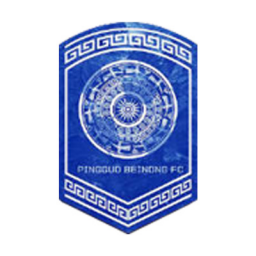 北京雨虹修缮女足队徽