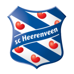 特温特女足队徽