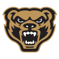 杨斯镇州立队徽