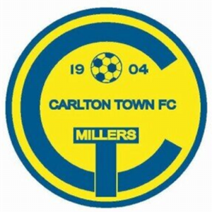 安斯蒂游牧人队徽