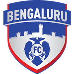 海德拉巴德队徽