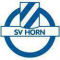SV霍恩队徽