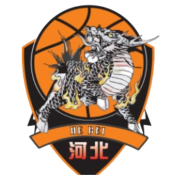 石家庄翔蓝队徽